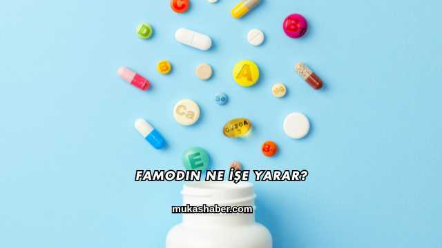 Famodin Ne İşe Yarar?