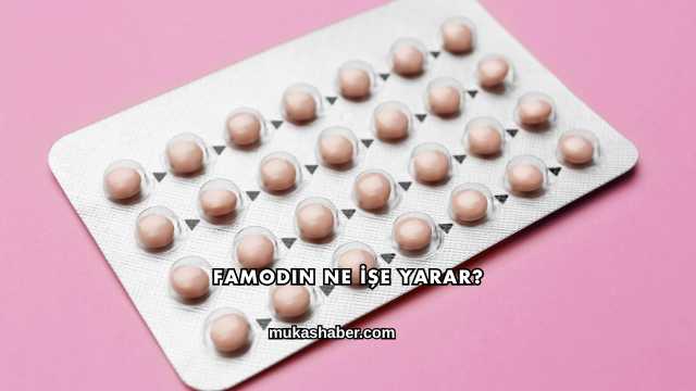 Famodin Ne İşe Yarar?
