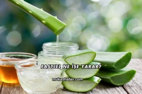 Fastjel Ne İşe Yarar?