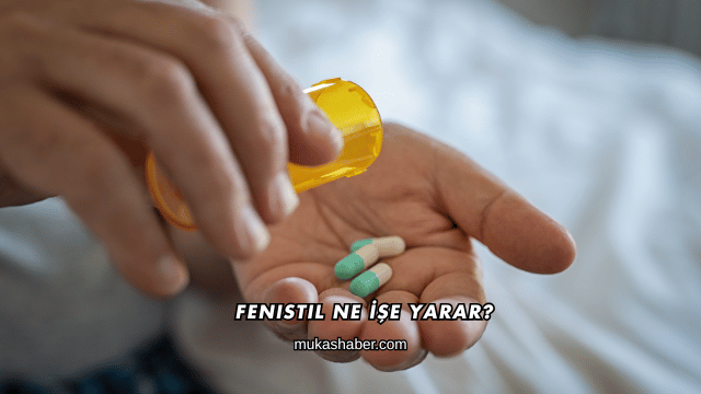 Fenistil Ne İşe Yarar?