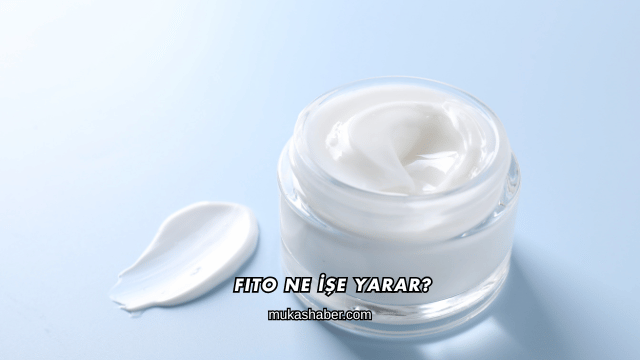 Fito Ne İşe Yarar?