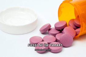 Flessi Ne İşe Yarar?