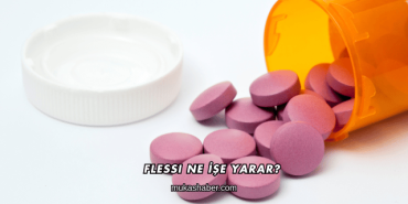 Flessi Ne İşe Yarar?