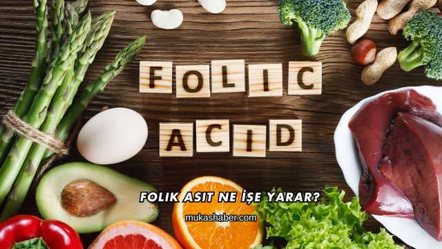Folik Asit Ne İşe Yarar?