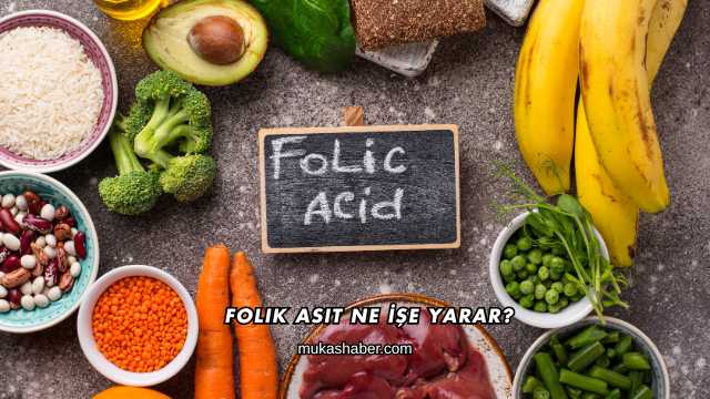 Folik Asit Ne İşe Yarar?