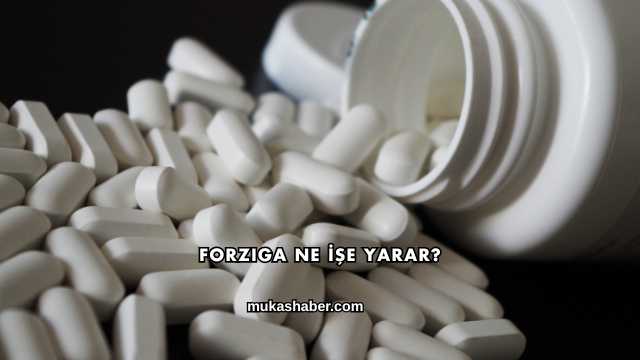 Forziga Ne İşe Yarar?