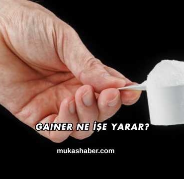 Gainer Ne İşe Yarar?