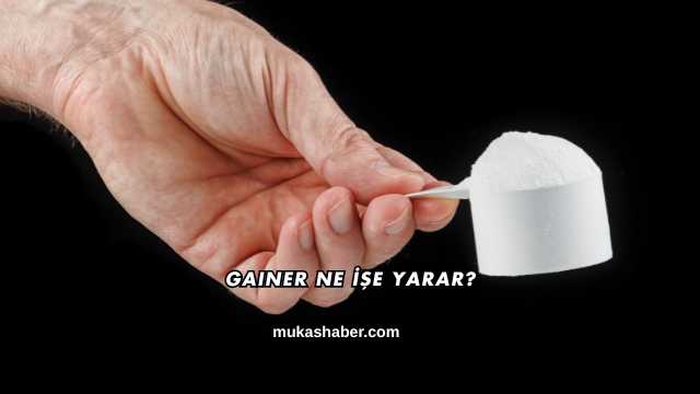 Gainer Ne İşe Yarar?