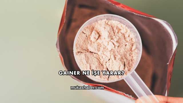 Gainer Ne İşe Yarar?