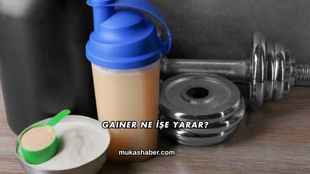 Gainer Ne İşe Yarar?