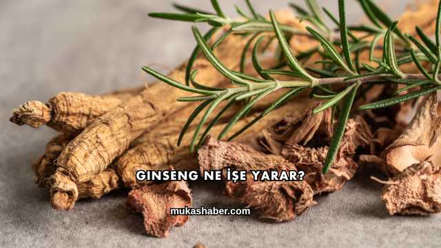 Ginseng Ne İşe Yarar?