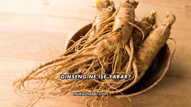 Ginseng Ne İşe Yarar?