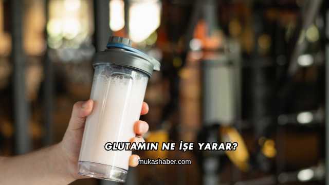 Glutamin Ne İşe Yarar?