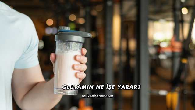 Glutamin Ne İşe Yarar?