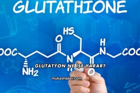 Glutatyon Ne İşe Yarar?