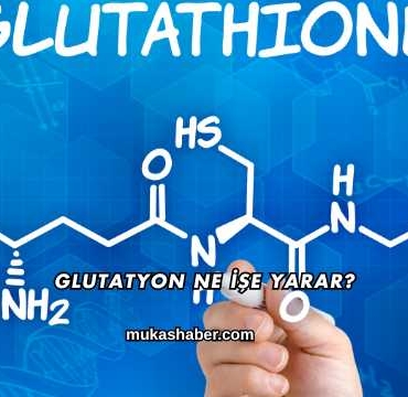 Glutatyon Ne İşe Yarar?