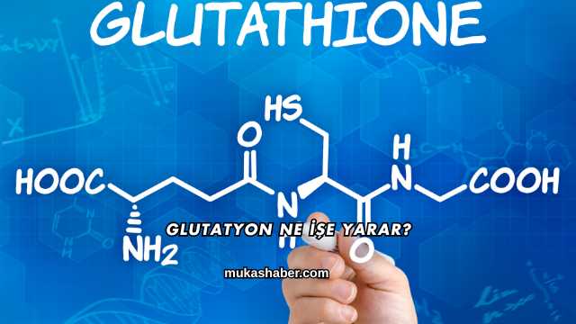 Glutatyon Ne İşe Yarar?