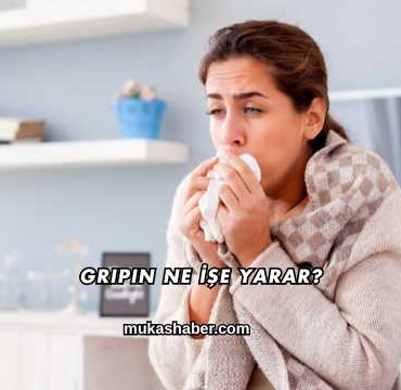 Gripin Ne İşe Yarar?
