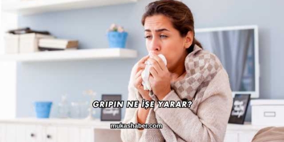 Gripin Ne İşe Yarar?
