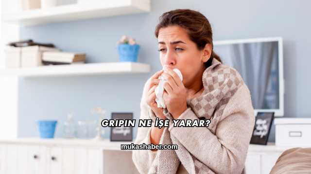 Gripin Ne İşe Yarar?