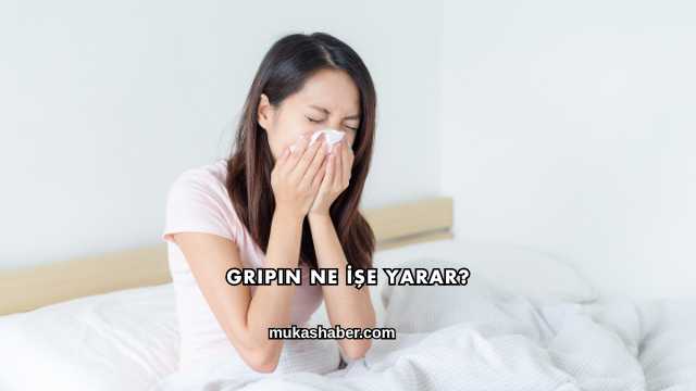 Gripin Ne İşe Yarar?