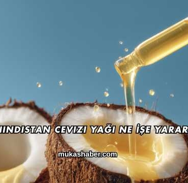 Hindistan Cevizi Yağı Ne İşe Yarar?
