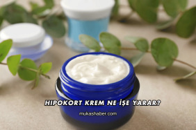 Hipokort Krem Ne İşe Yarar?
