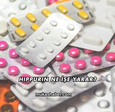 Hippurin Ne İşe Yarar?