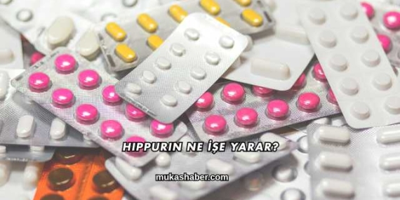 Hippurin Ne İşe Yarar?