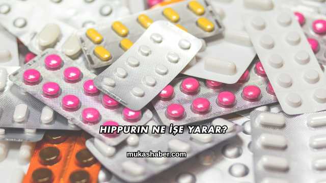 Hippurin Ne İşe Yarar?