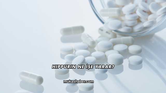 Hippurin Ne İşe Yarar?