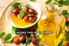 Jojoba Yağı Ne İşe Yarar?