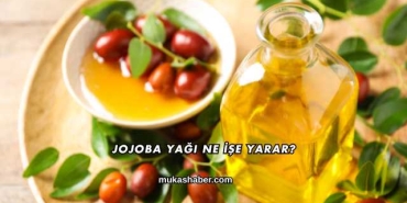 Jojoba Yağı Ne İşe Yarar?
