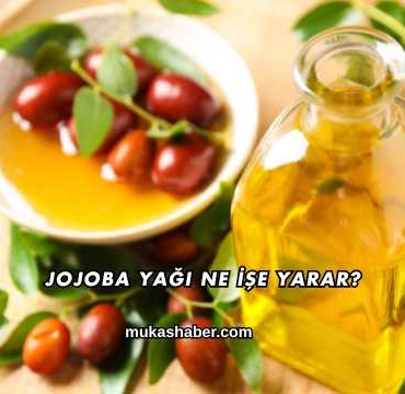 Jojoba Yağı Ne İşe Yarar?