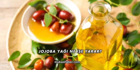Jojoba Yağı Ne İşe Yarar?