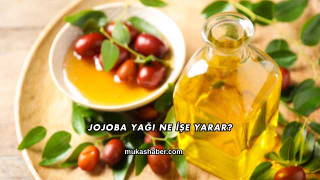 Jojoba Yağı Ne İşe Yarar?