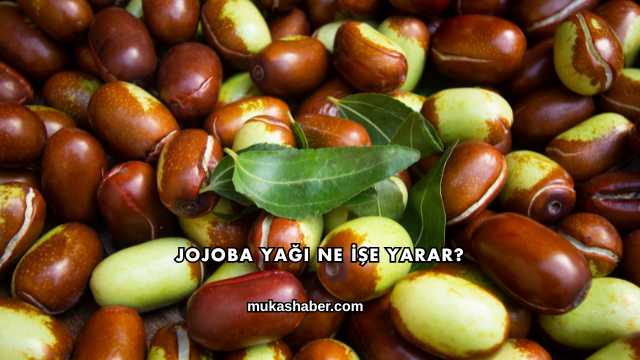 Jojoba Yağı Ne İşe Yarar?