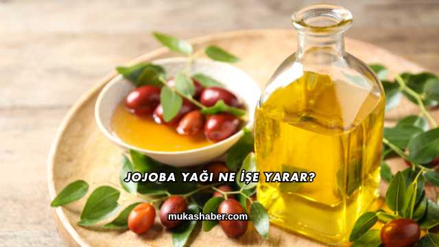 Jojoba Yağı Ne İşe Yarar?