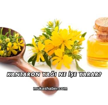 Kantaron Yağı Ne İşe Yarar?