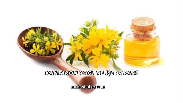 Kantaron Yağı Ne İşe Yarar?