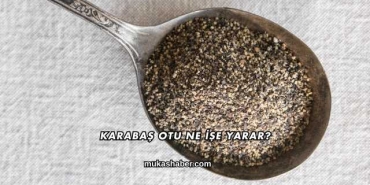 Karabaş Otu Ne İşe Yarar?