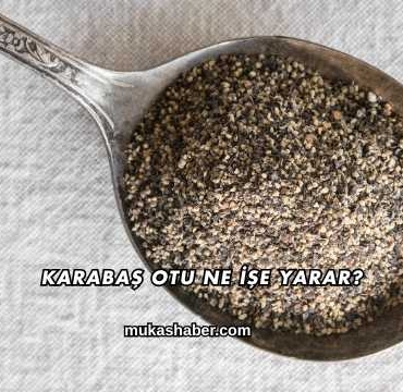 Karabaş Otu Ne İşe Yarar?