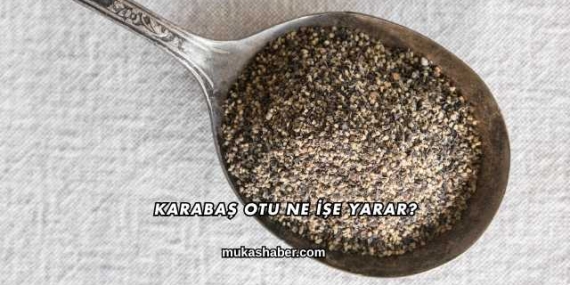 Karabaş Otu Ne İşe Yarar?