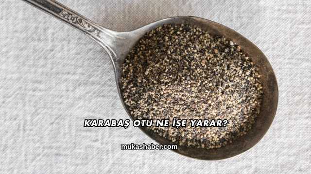 Karabaş Otu Ne İşe Yarar?
