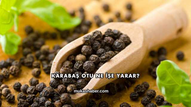 Karabaş Otu Ne İşe Yarar?