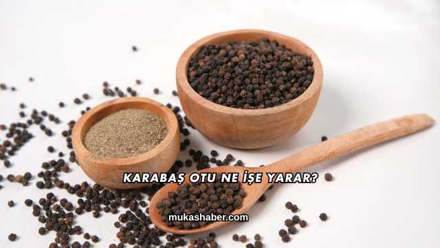 Karabaş Otu Ne İşe Yarar?