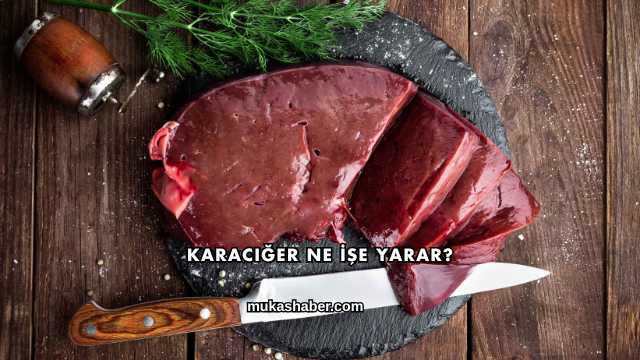 Karaciğer Ne İşe Yarar?