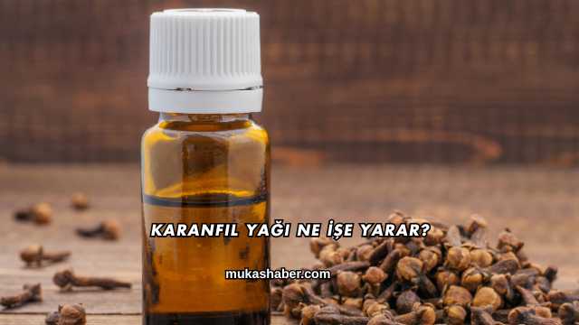 Karanfil Yağı Ne İşe Yarar?