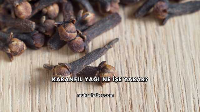 Karanfil Yağı Ne İşe Yarar?