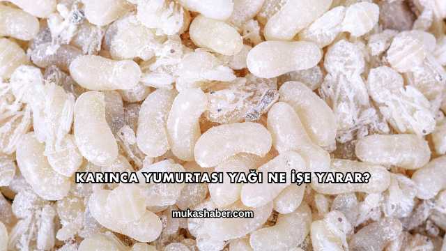Karınca Yumurtası Yağı Ne İşe Yarar?